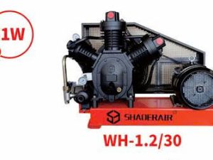 Máy nén khí thổi chai PET cao áp 30–40 bar, khí sạch không dầu, vận hành bền bỉ, tối ưu cho xưởng sản xuất. Gọi ngay 0949.105.048 để được tư vấn & báo giá.